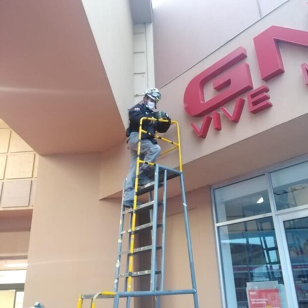 Rescatan gatita atrapada en lo alto de un centro comercial en NL