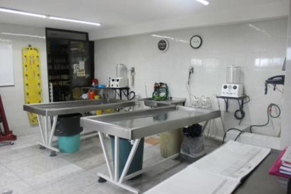 La joven que embellece muertos 