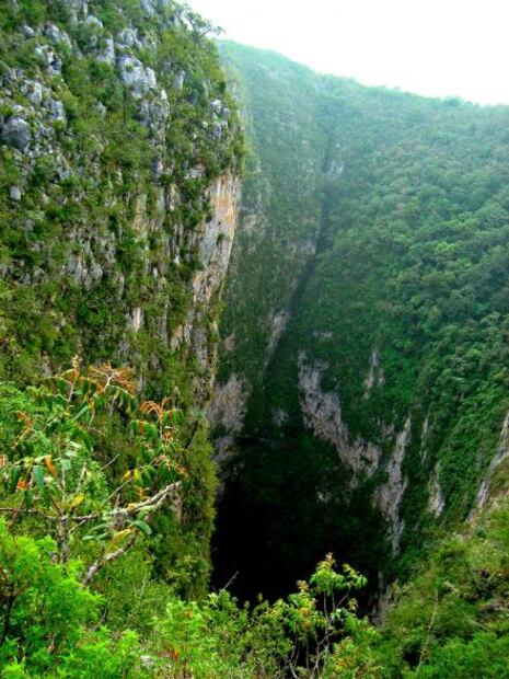 Por qué la Sierra Gorda es uno de los 100 mejores destinos verdes del mundo