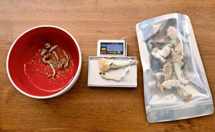 Renacimiento psicodélico: Terapia con hongos psilocibios con potencial para la depresión y ansiedad