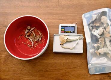 Renacimiento psicodélico: Terapia con hongos psilocibios con potencial para la depresión y ansiedad