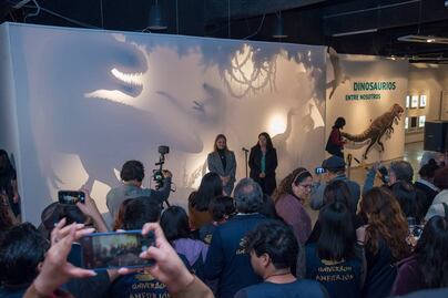Cuánto cuesta entrar a la exposición de dinosaurios del Universum
