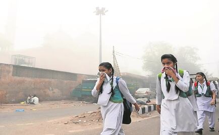 Toxinas ambientales pueden alterar la fertilidad de generaciones futuras