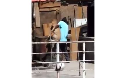 VIDEO. Rescatan a perra maltratada en Neza