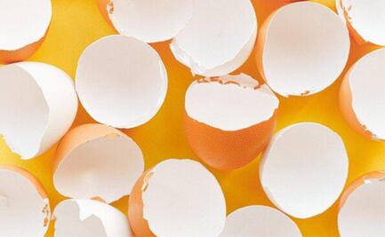 Descubre el motivo por el que es cada vez más común guardar las cascaras de huevo