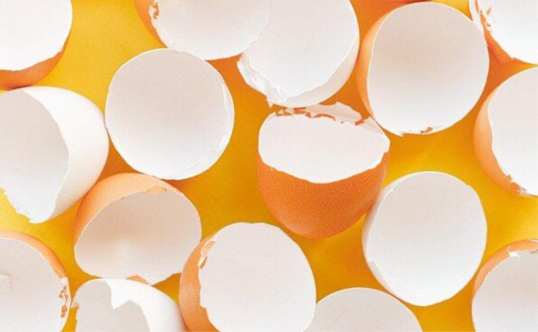 Descubre los sorprendentes beneficios de la cáscara de huevo, un tesoro desperdiciado. Fuente: Freepik.