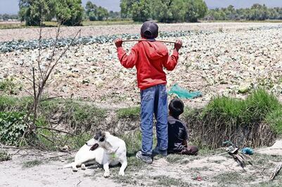 Emplean "chupaductos" a niños como halcones