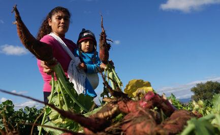 Canasta Básica Alimentaria aumentó 50% el último trimestre, advierten campesinos