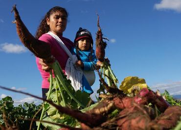 Canasta Básica Alimentaria aumentó 50% el último trimestre, advierten campesinos