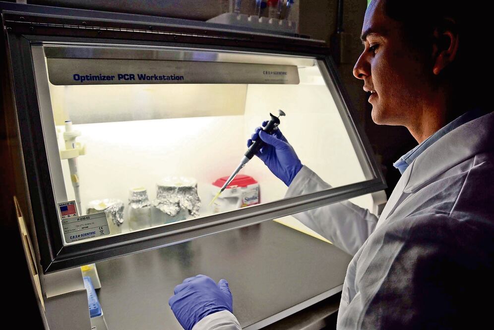 Archivo / EL UNIVERSAL