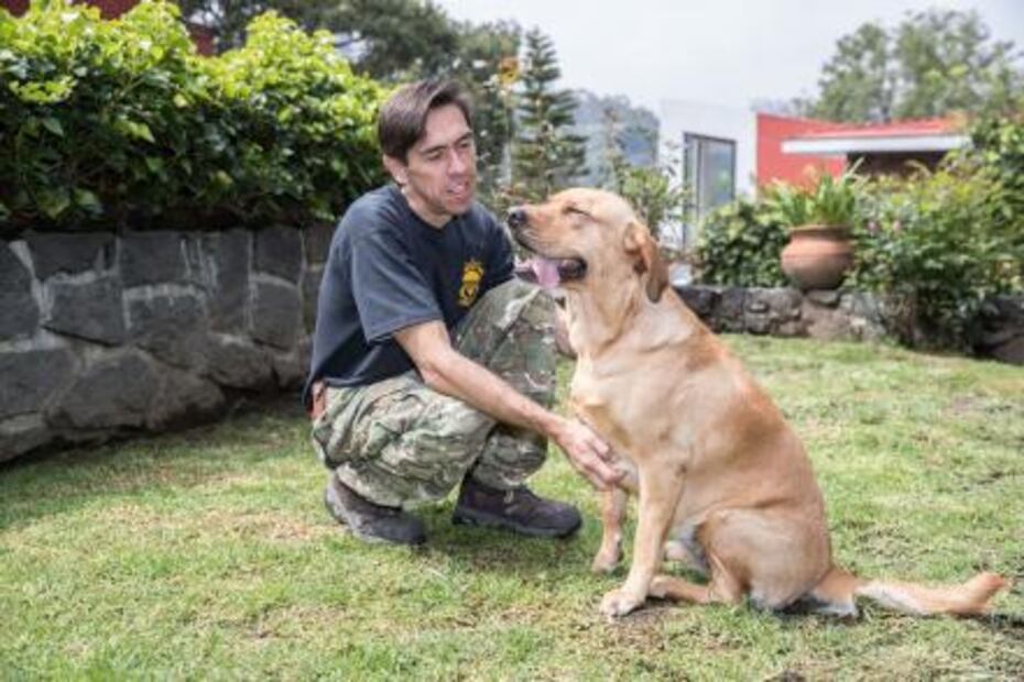 De perros de la calle a héroes