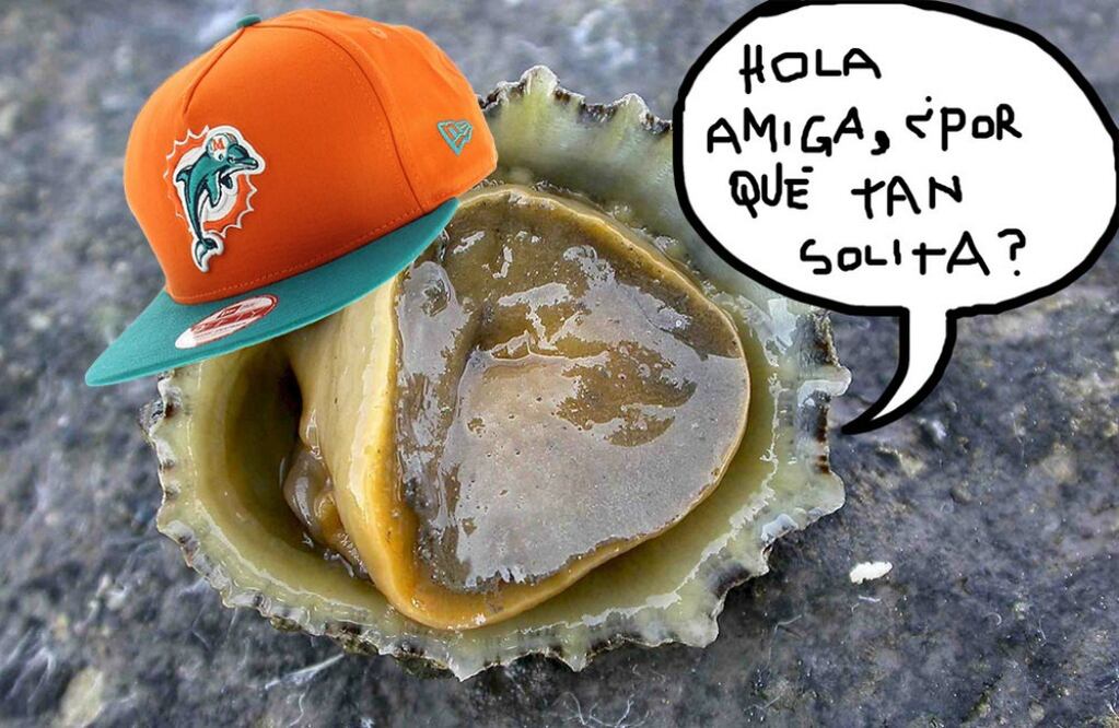 ¿Por qué tan solita?