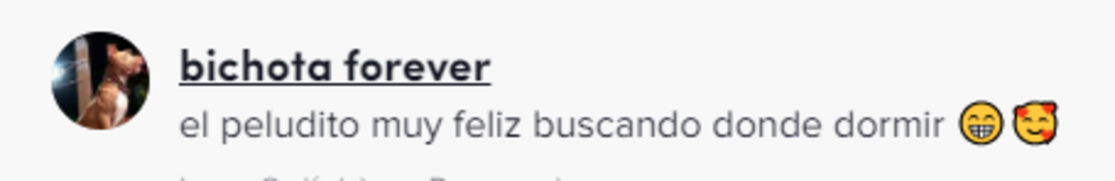 El perrito de Ángela Aguilar se le metió debajo del vestido durante un concierto