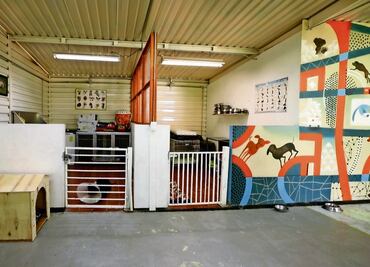 Lomitos del Metro encuentran un hogar