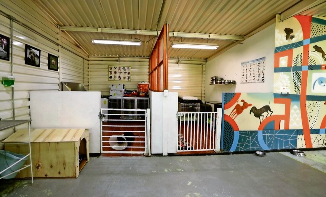 El Centro de Transferencia Canina tiene la finalidad de darle un albergue temporal a los perritos que son salvados de las vías, Foto: Diego C. Montesinos / EL UNIVERSAL