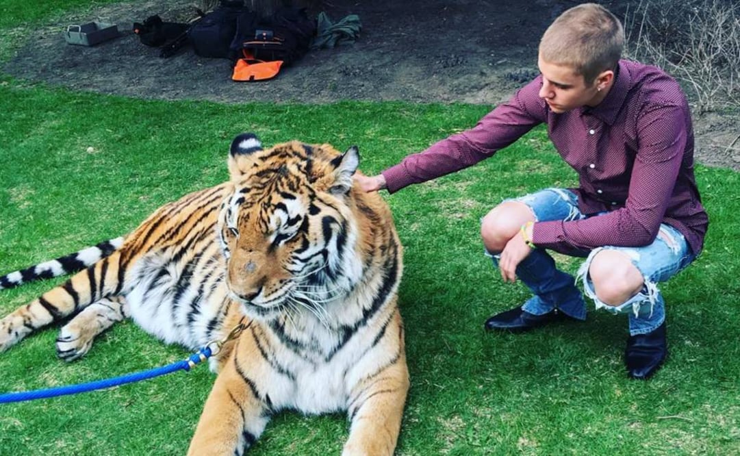 El cantante posó junto al animal en cautiverio durante la fiesta de compromiso de su padre. (FOTO de Instagram: justinbieber)