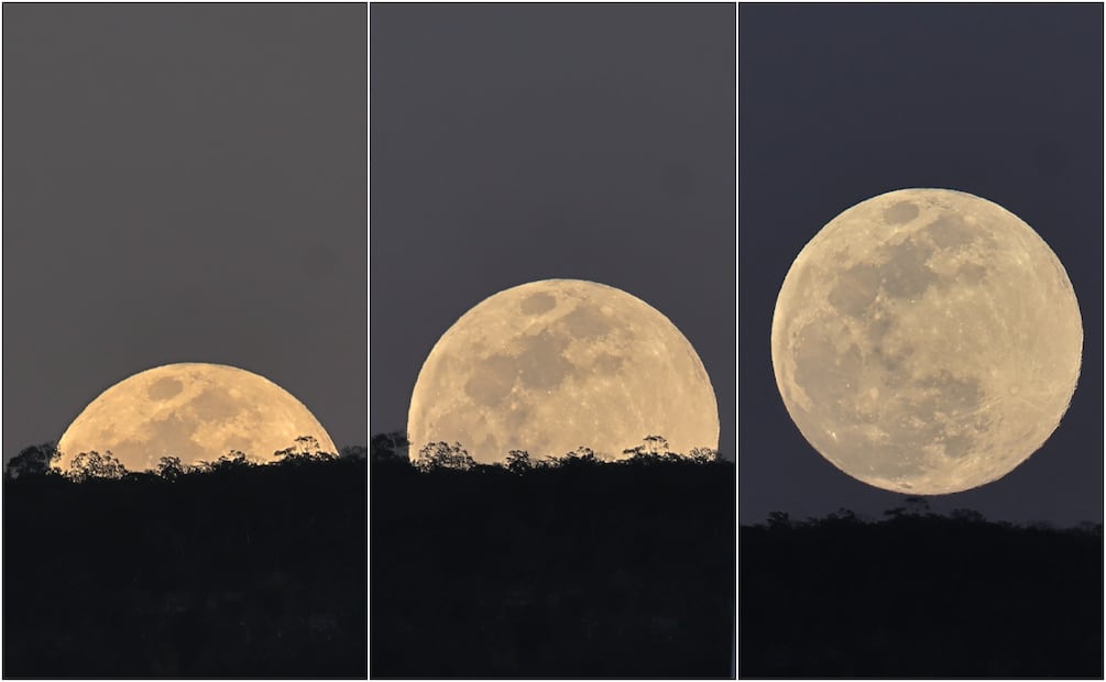 Fotos de la Superluna de Lobo 2026 desde México. Foto: X