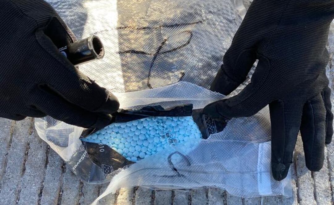 Foto tomada de Twitter @GN_MEXICO_