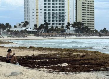 Sargazo invade 50% de playas turísticas en Quintana Roo; sólo cinco están libres de macroalga