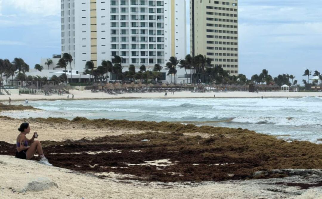Quintana Roo prepara mesa de trabajo para enfrentar la llegada del sargazo a sus playas (05/06/2025). Foto: Adriana Varillas / EL UNIVERSAL
