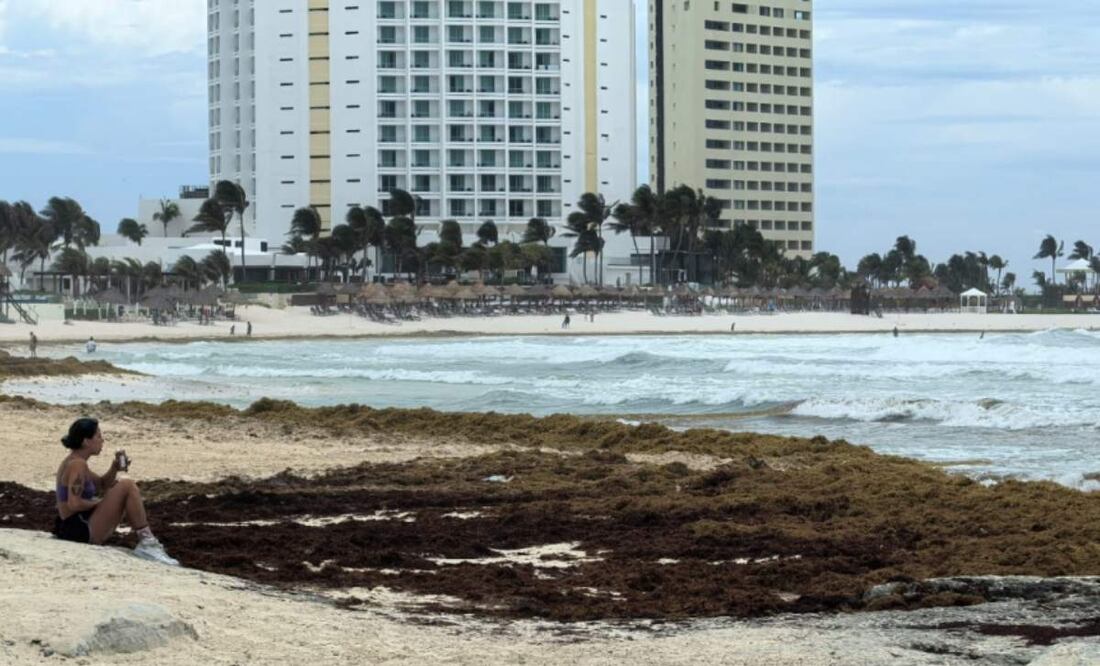 Quintana Roo prepara mesa de trabajo para enfrentar la llegada del sargazo a sus playas (05/06/2025). Foto: Adriana Varillas / EL UNIVERSAL