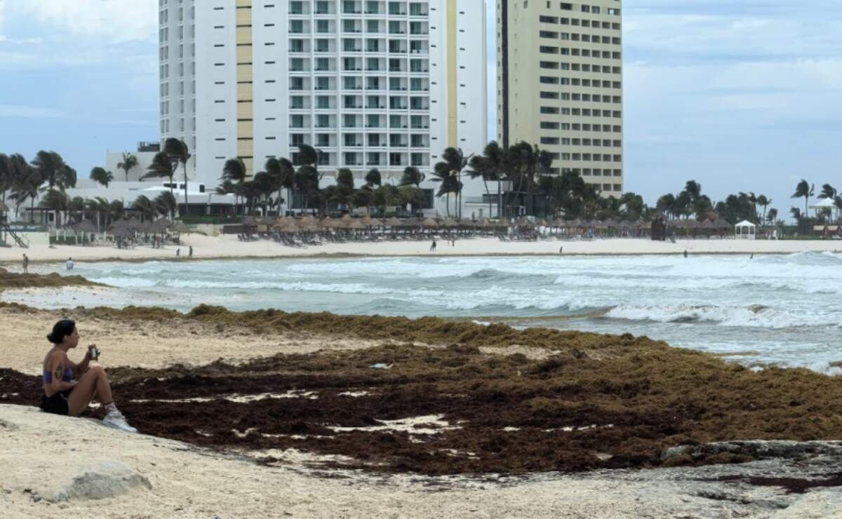 Sargazo invade 50% de playas turísticas en Quintana Roo; sólo cinco están libres de microalga