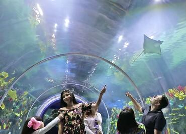 10 cosas que no sabías del Acuario Michin de Parque Tepeyac