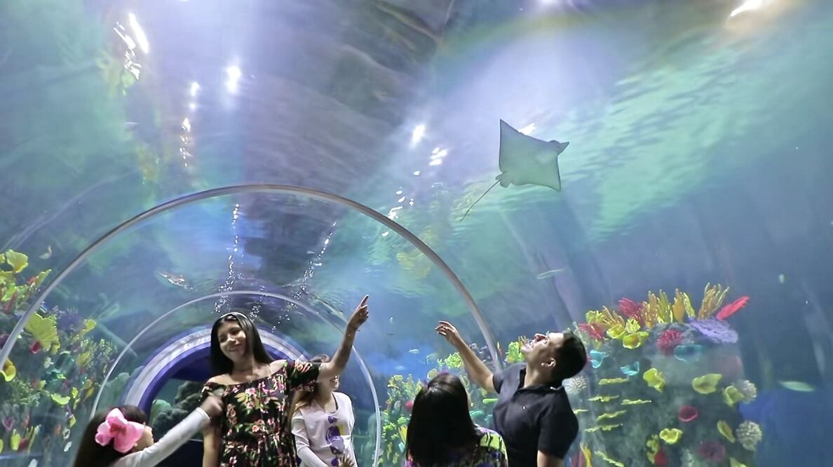 Este nuevo acuario se divide en tres pisos: 2 de ellos tienen animales, divididos en 7 secciones y uno más es el parque de aventuras. Foto: Acuario Michin