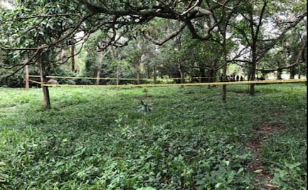 Reportan hallazgo de otra fosa clandestina en Veracruz