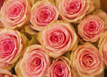 Austerity vs. squandering