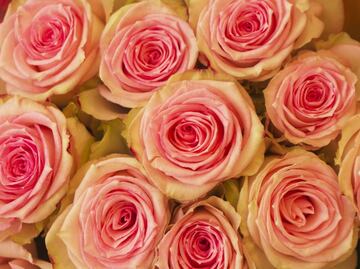 Austerity vs. squandering