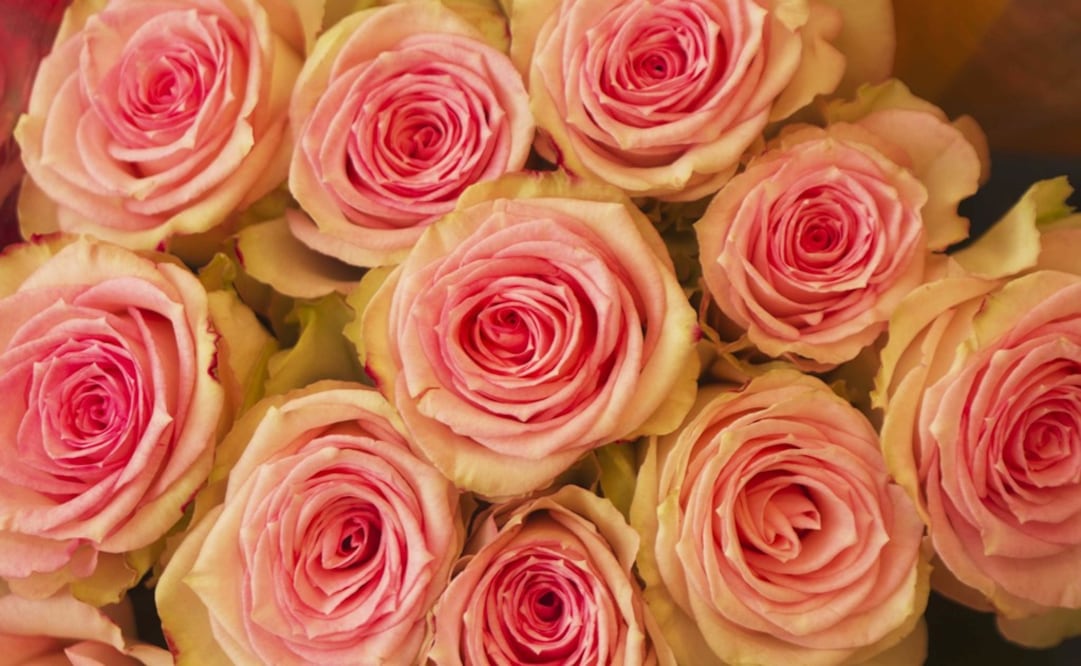 Mexico celebrates Mothers' Day on May 10 - Photo: Guillermo Granja/REUTERS