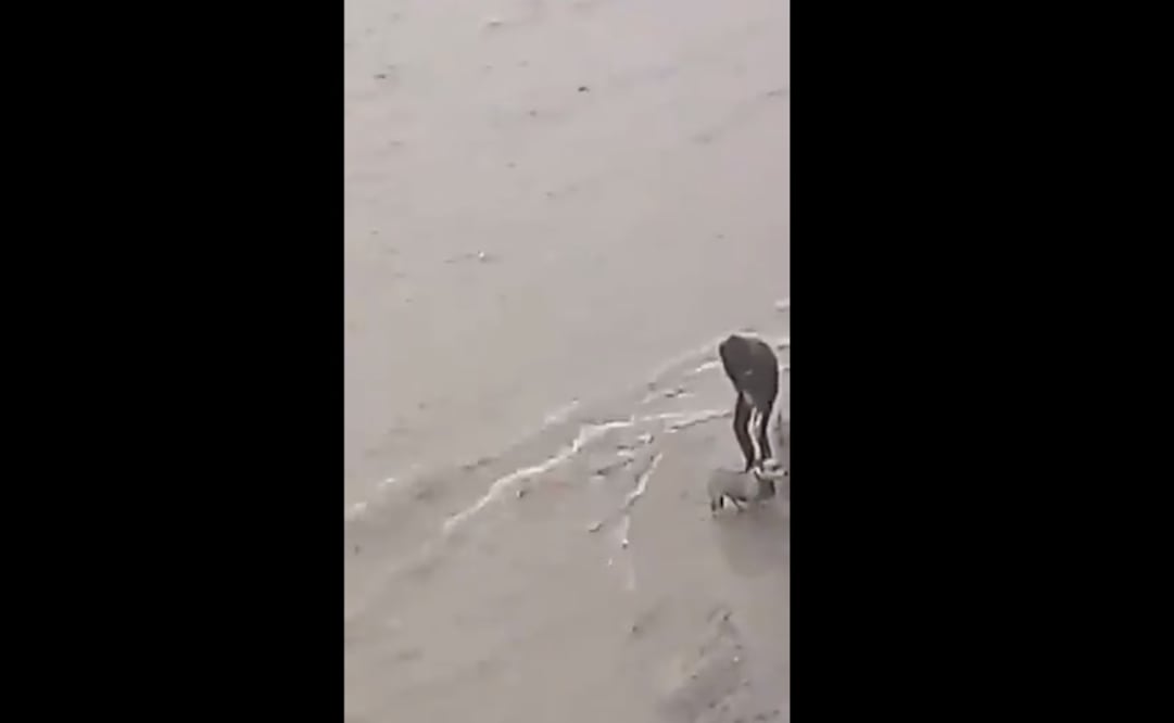 Foto: Captura de video