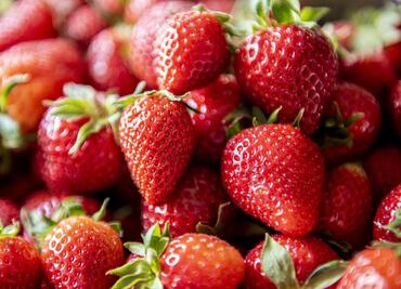 EU investiga posible hepatitis “A” en fresas mexicanas; fueron cultivadas en Baja California