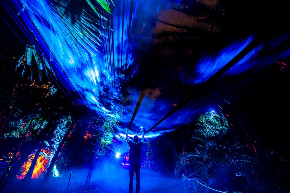 Alicia en el país de las maravillas tendrá un recorrido nocturno donde la luz y la fantasía predominan. Foto: Cortesía