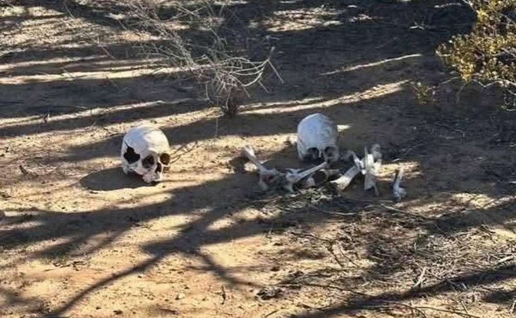 Colectivo localiza 16 fosas clandestinas en Sonora (16/03/2026). Foto: Colectivo Buscando a Jonás