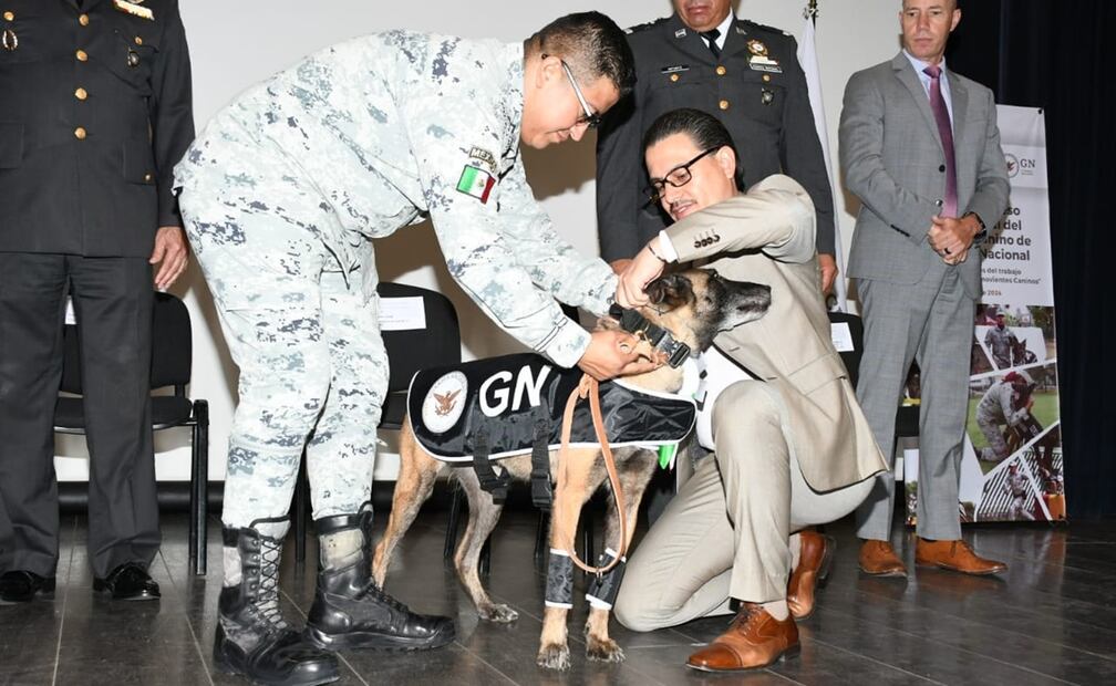 Foto: Guardia Nacional