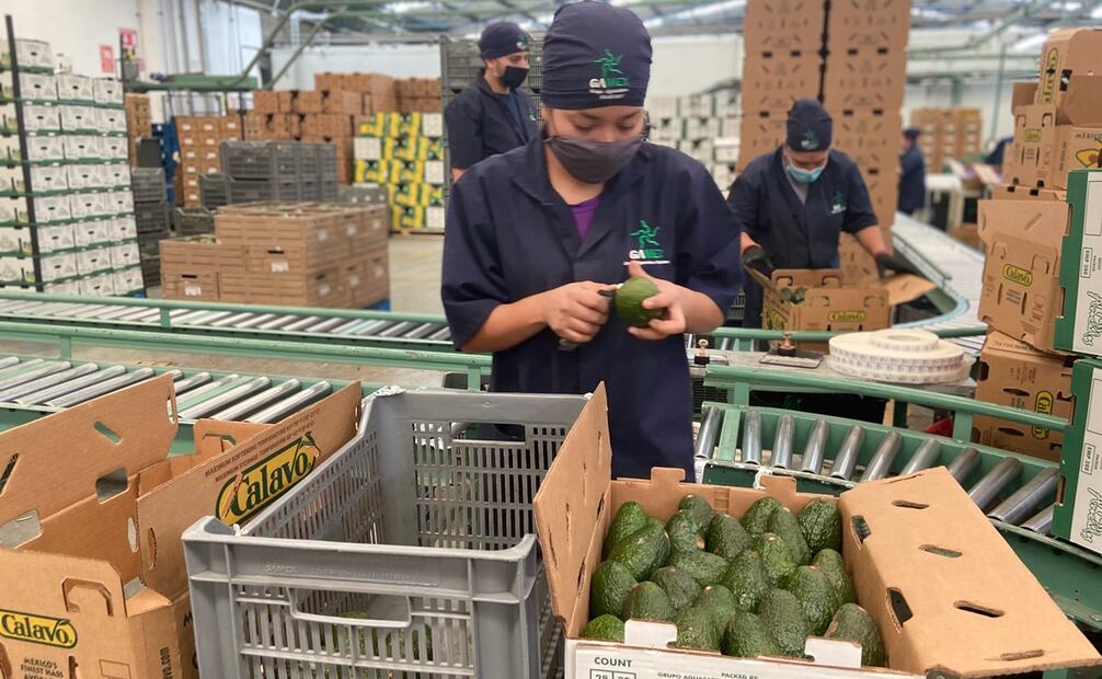 Foto: Carlos Arrieta. EL UNIVERSAL