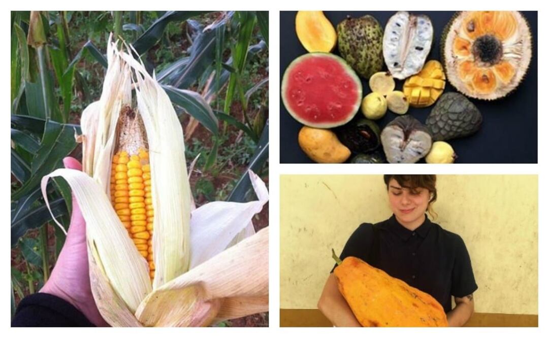 Foto: Del instagram @hijadesanchez @nomacph y @reneredzepinoma