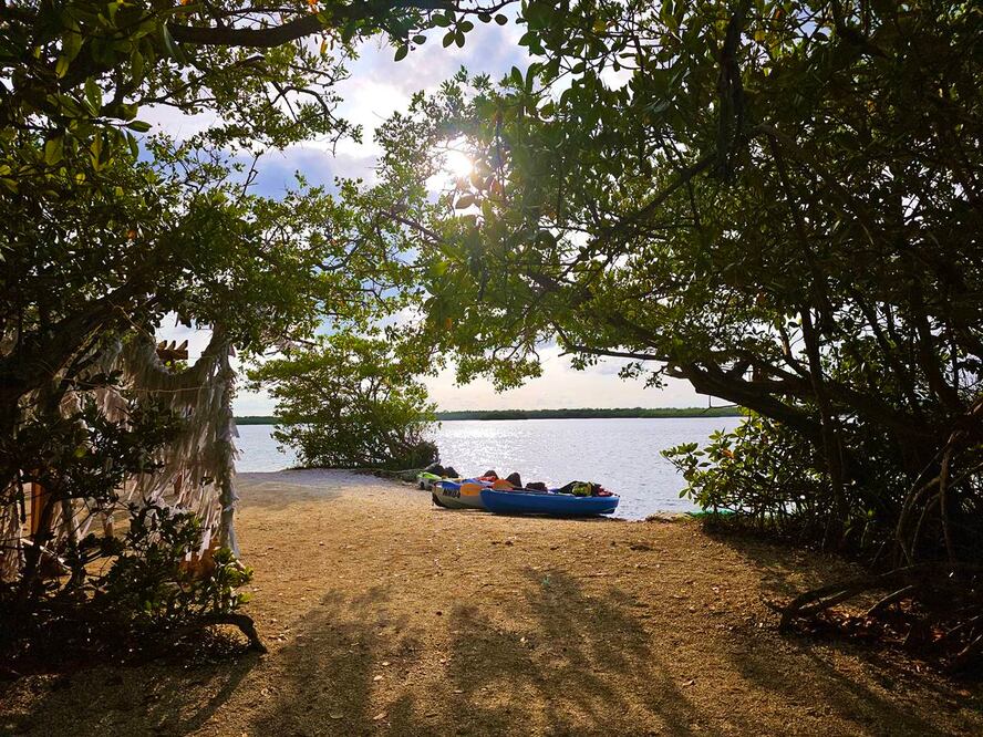 Foto: Natural Mystic Veracruz