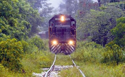 Tren Maya: Conceden suspensión definitiva para frenar desmonte y tala en Tramos 3, 4, 5 Norte y 6