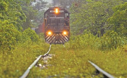 Tren Maya empleará electricidad en 40% de ruta