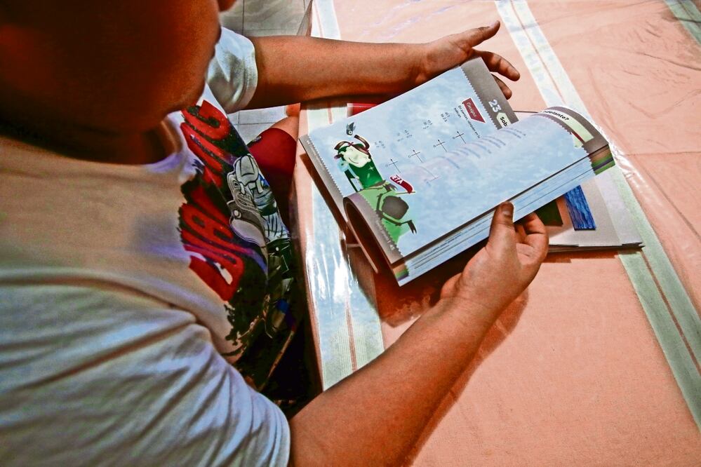 Berenice Fregoso el universal