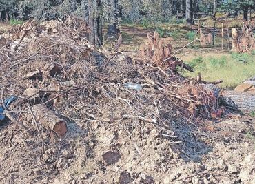 Fue una agresión unilateral: empresa