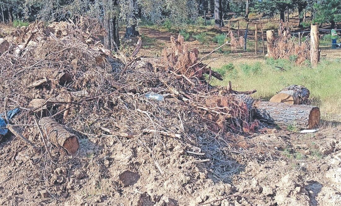 El grupo de comuneros carece de la propiedad legal de las tierras: AT-AT. Foto Especial