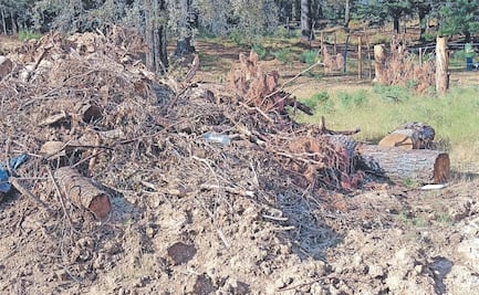 Fue una agresión unilateral: empresa