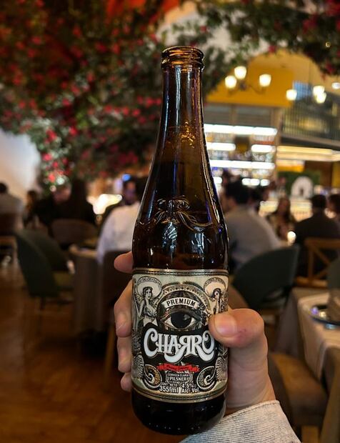 Terraza Loredo. Foto: Alan Nájera / El Universal