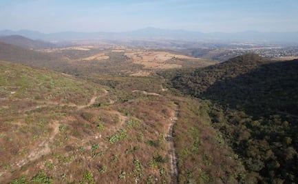 Piden a Semarnat negar a empresa canadiense permisos para explotar mina de oro en Morelos
