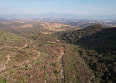 Piden a Semarnat negar a empresa canadiense permisos para explotar mina de oro en Morelos