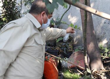 Suman 82 casos de dengue en Tamaulipas